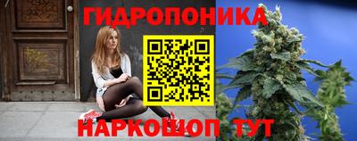соль ск Лесосибирск