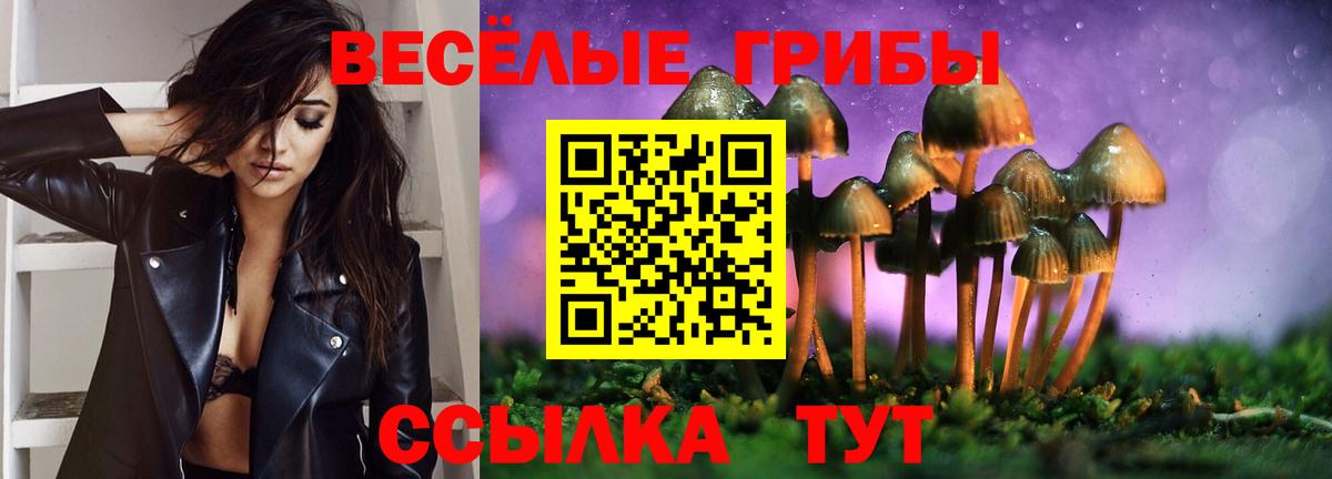 Донской  Галлюциногенные грибы мухоморы  Вход с VPN 